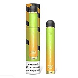 Одноразовая под-система Puff Flow - Aloe Mango Melon ICE