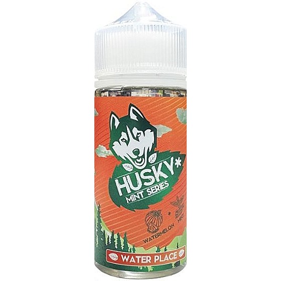 Жидкость Husky Mint Series Water Place 100мл